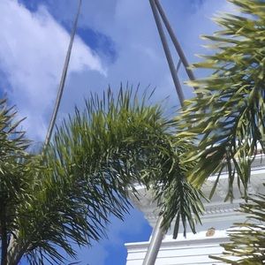 Meet your Posher, Renee